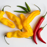 Madame_Jeanette_and_other_chillies