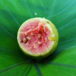 red-guava-1691430_1920