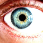 blue-eye-macro