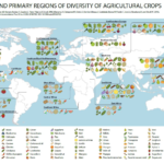 map-origin-crops
